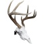 Mountain Mike's Deer Skull - Positioner