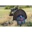 Montana Decoy Turkey Gobbler - Fanatic 2d